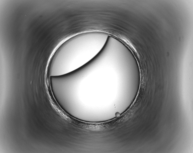 X0000085301080200703161429