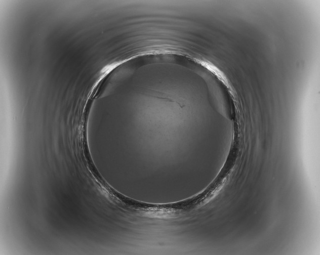 X0000085301081200703161429