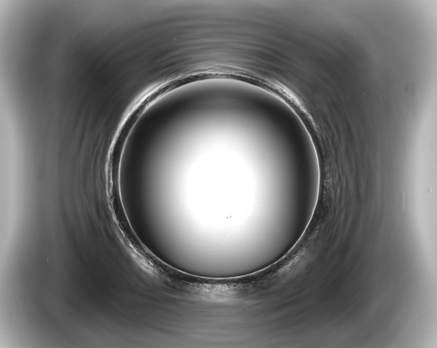 X0000085301082200703161429