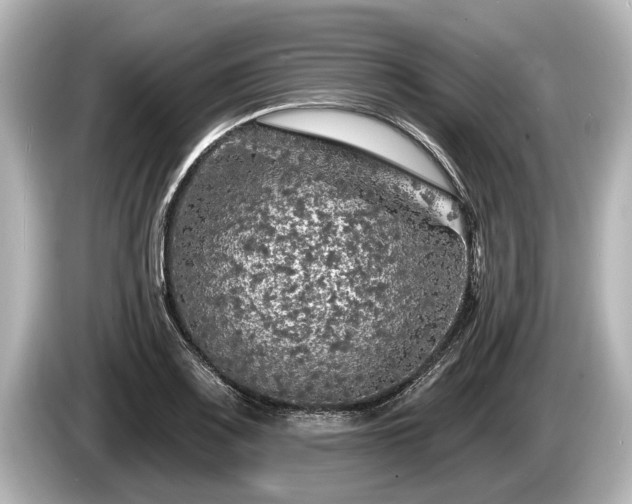 X0000085301083200703161429