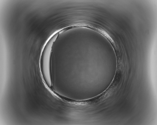 X0000085301084200703161429