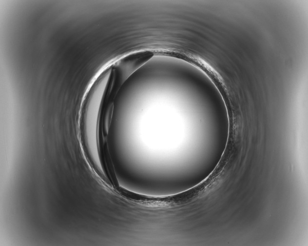 X0000085301085200703161429