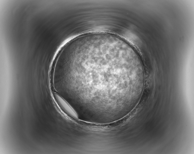 X0000085301086200703161429