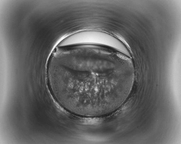 X0000085301087200703161429