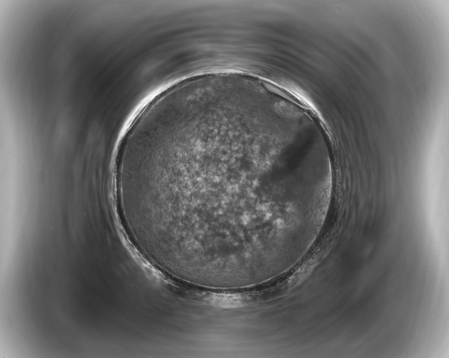 X0000085301088200703161429