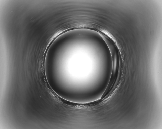 X0000085301089200703161429