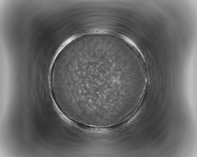 X0000085301090200703161429