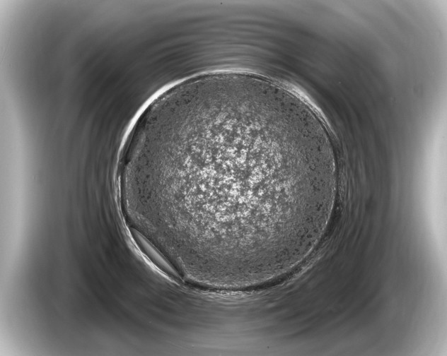 X0000085301092200703161429