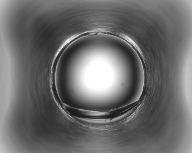 X0000085301093200703161429