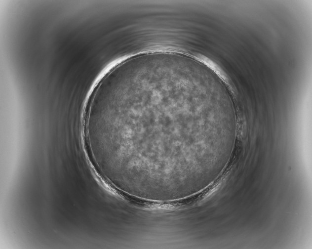 X0000085301094200703161429