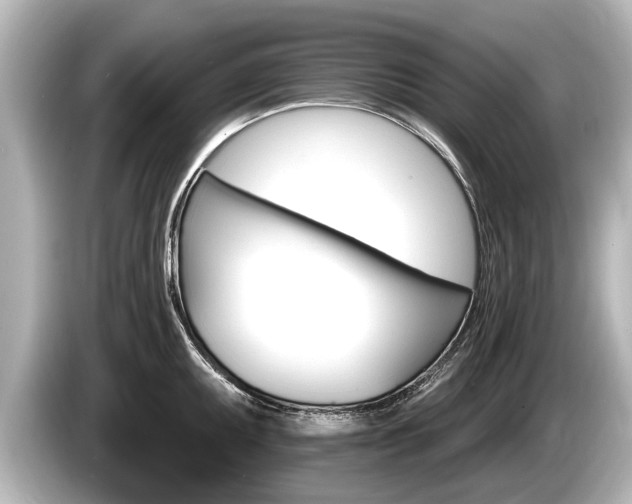 X0000085301095200703161429