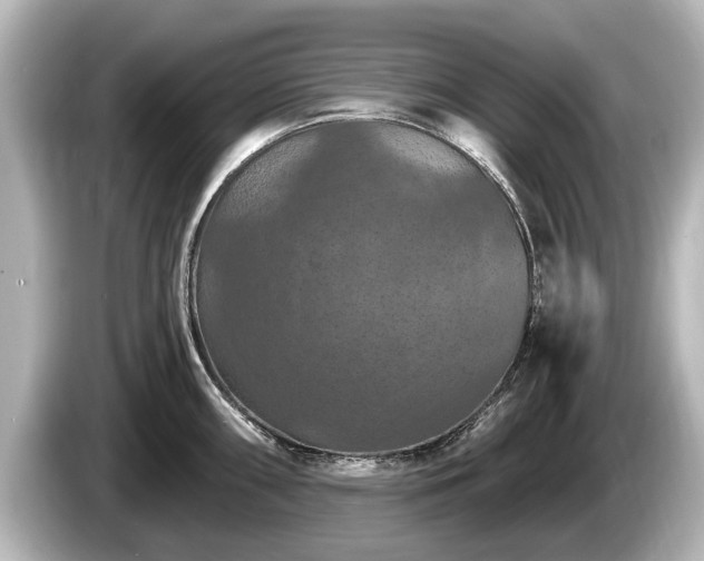 X0000085301098200703161429