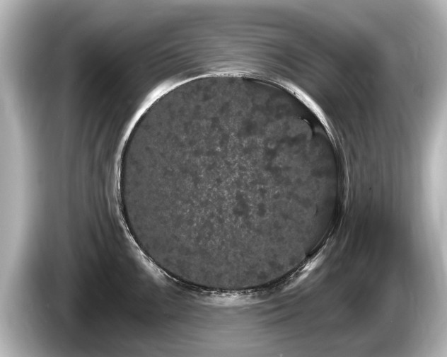 X0000085301099200703161429