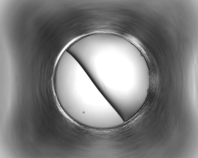 X0000085301100200703161429