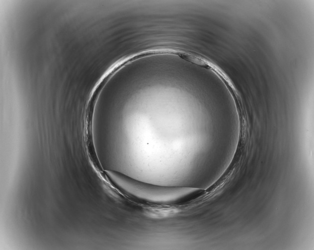 X0000085301101200703161429