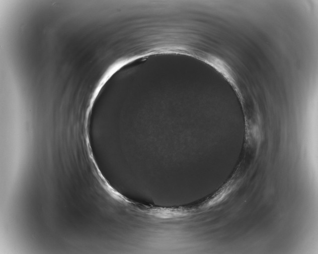 X0000085301102200703161429