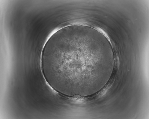 X0000085301103200703161429