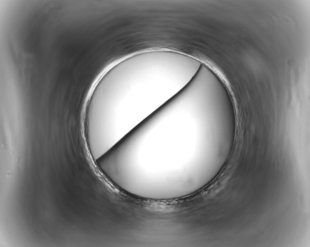 X0000085301104200703161429