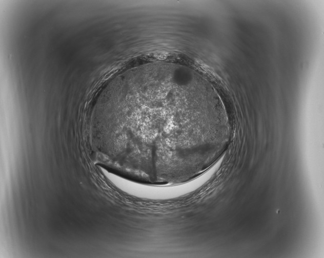 X0000085301105200703161429