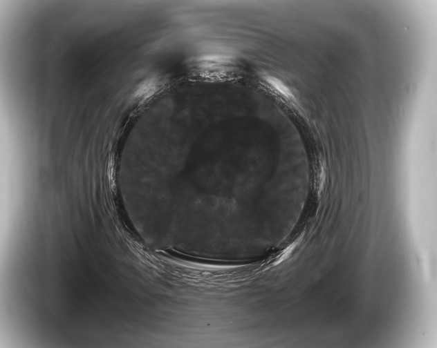 X0000085301106200703161429