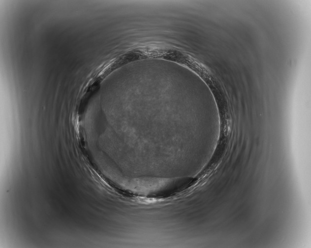 X0000085301108200703161429