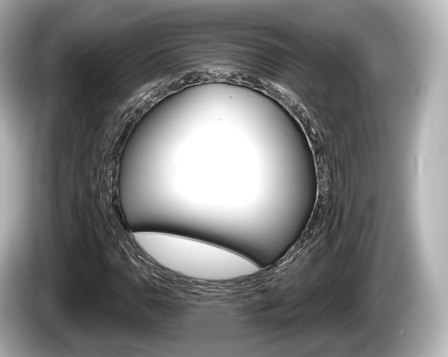 X0000085301110200703161429