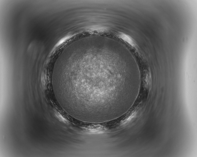 X0000085301112200703161429