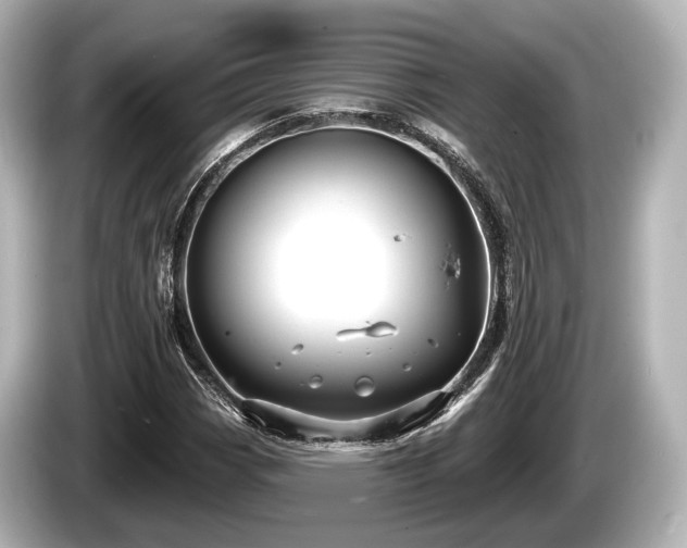 X0000085301113200703161429