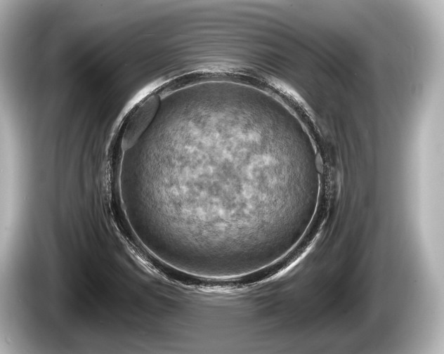 X0000085301114200703161429