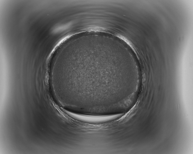 X0000085301115200703161429