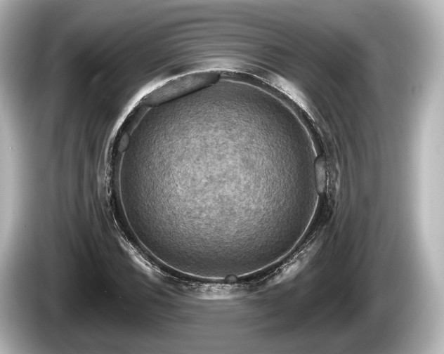 X0000085301116200703161429