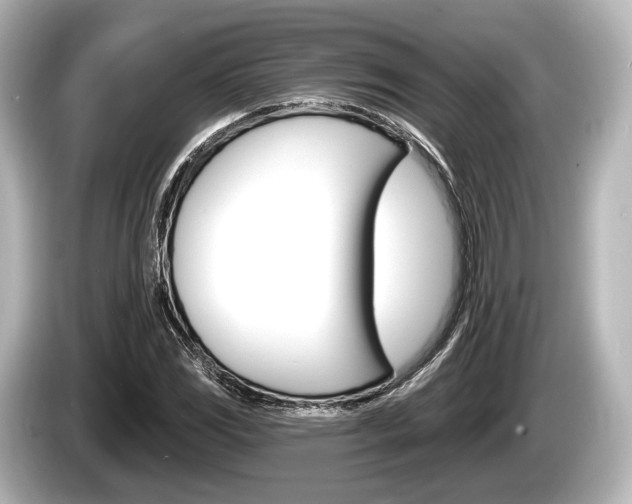 X0000085301117200703161429