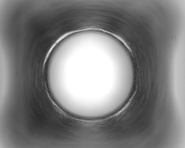 X0000085301118200703161429