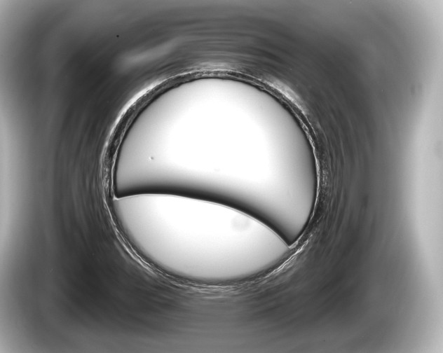 X0000085301119200703161429