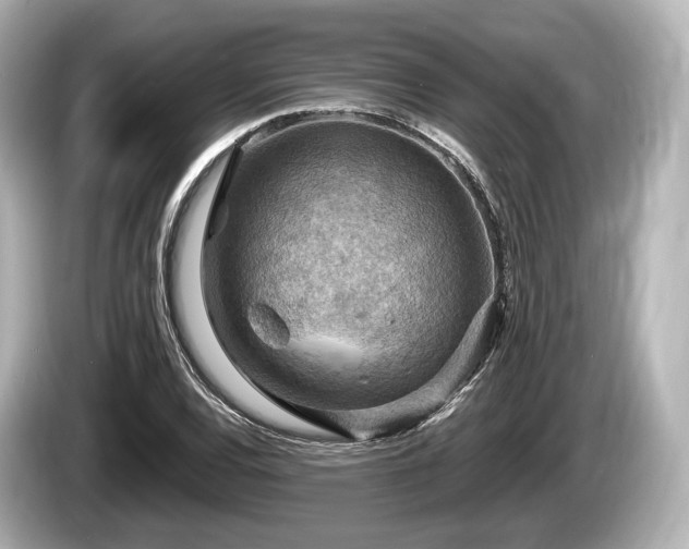 X0000085301120200703161429