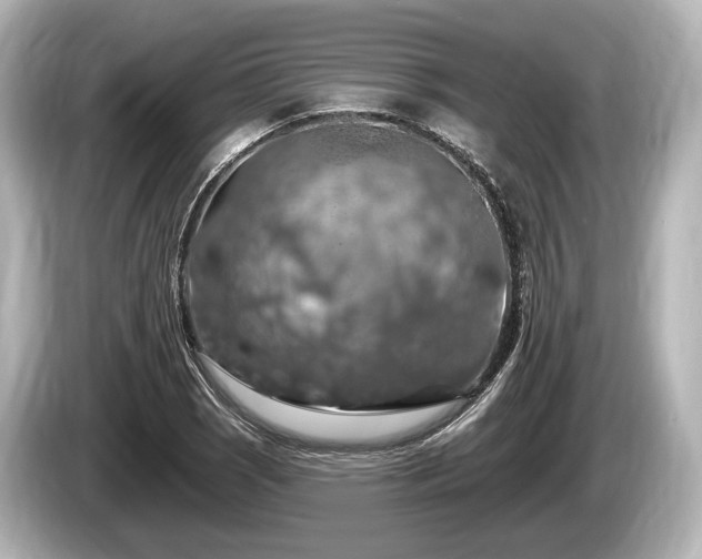 X0000085301121200703161429