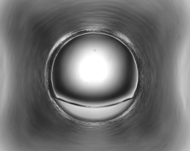 X0000085301122200703161429