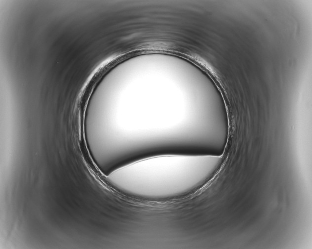 X0000085301123200703161429