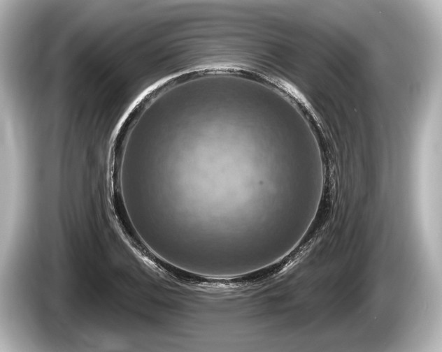 X0000085301124200703161429