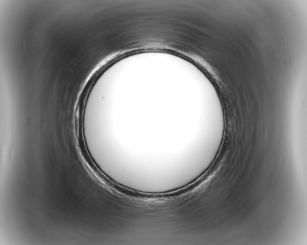 X0000085301126200703161429