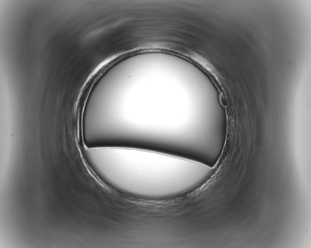 X0000085301127200703161429