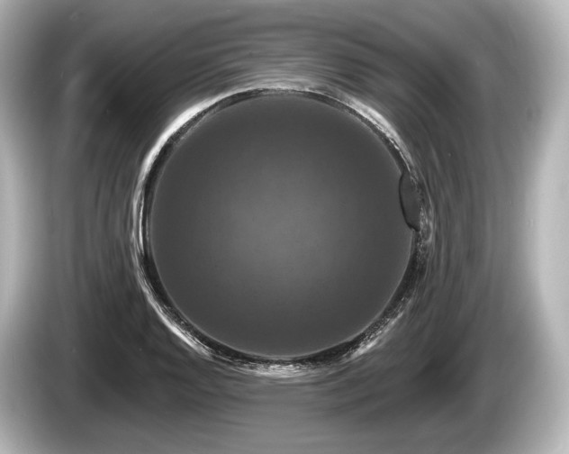 X0000085301128200703161429