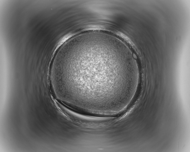 X0000085301129200703161429