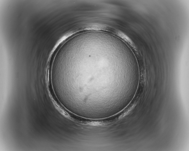 X0000085301130200703161429