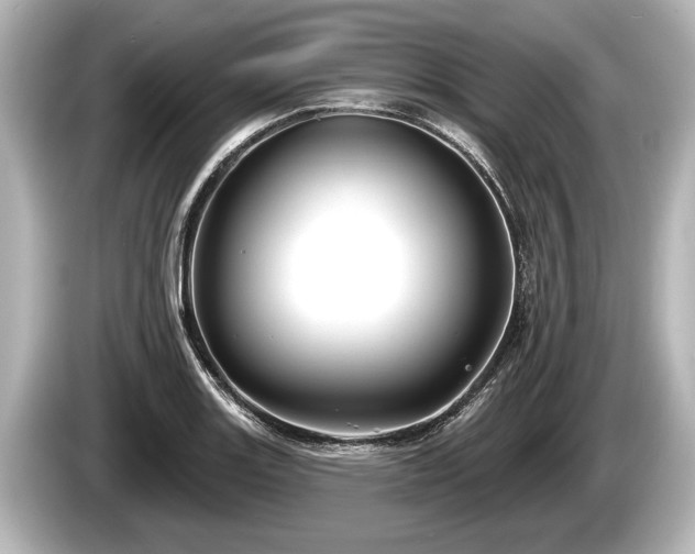 X0000085301131200703161429