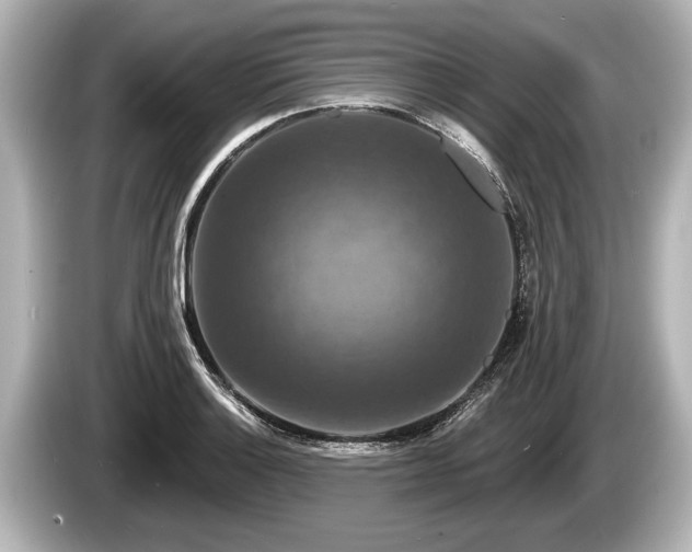 X0000085301132200703161429