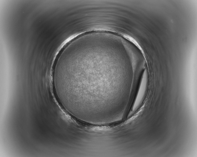 X0000085301133200703161429