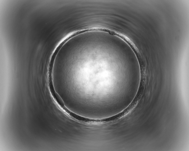 X0000085301134200703161429