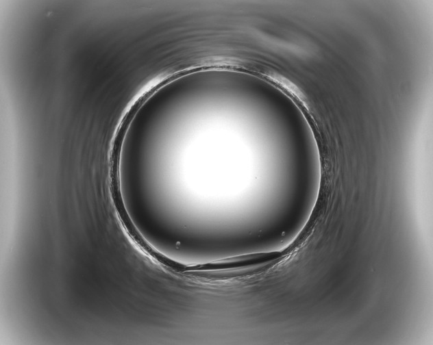 X0000085301135200703161429