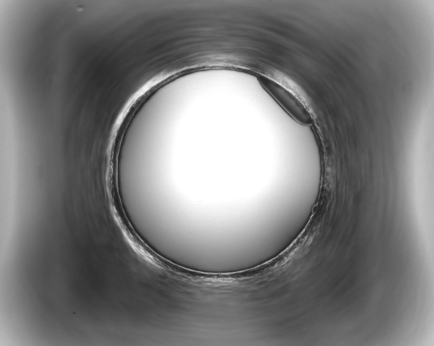 X0000085301136200703161429